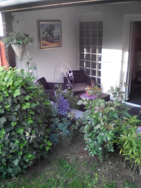 Apartment Poropat بوريتش الغرفة الصورة